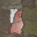 속초마스코트 <b>도보</b>에서...