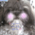 울강ㅇㄴㅈ1//a잘보ㄴ<b>주서</b>i요//