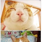 웃으면 <b>복이</b>와요^^