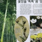 <b>봄봄</b>봄 봄이왓어요