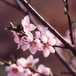 <b>야생</b>-
