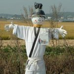 <b>허수</b>아비 형님