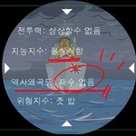 독도<b>애국</b>단_일본원숭이는