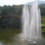 시원한 금강 자연휴양림 <b>내부</b> 입니다 ^^