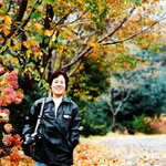 소설에서 나올 법 한 <b>낙엽</b>이 만들어 낸 풍경