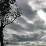 <b>뭔일</b>이 벌어질 것만 같네..