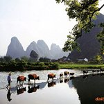 경관이 좋아서 올립<b>니더</b>예4