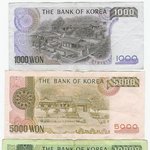 <b>돈돈</b>똥