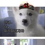 한가인 웃찾사 <b>패러디</b> ㅋㅋ