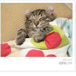 <b>이불</b>덮고자는 에버