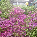 <b>정동진</b> 등명 낙가사 -1
