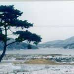 <b>석모도</b>