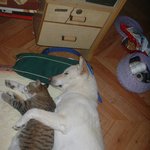 적과의 <b>동침</b>... 그리고...