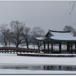 많이는 안올립<b>니더</b>예13