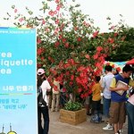it 코리아, 네티켓 코리아 캠페인 개최