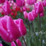 9월 달력<b>바탕</b>화면5