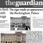 런던 <b>버킹엄</b>궁에 호랑이 출현!!