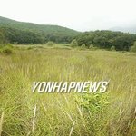 <b>멸종</b>위기 보호 곤충 꼬마잠자리