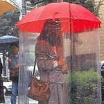 <b>비올</b>때 한여자가 우산 쓰는 방법
