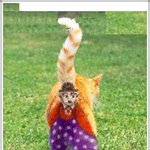 제 뒷모습 어<b>때용</b>???