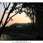 석촌<b>호수</b> 밤의 절경