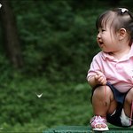 나비와 함께