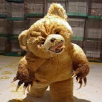 곰돌이의 <b>위협</b>