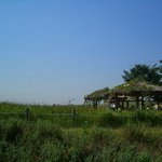 하늘과 <b>원두막</b> 사이