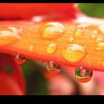 걍 올립<b>니더</b>예3