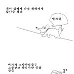개<b>구출</b>