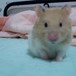 사랑하는 나의 <b>수야</b>, 보고싶은 나의 <b>수야</b>