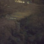 청태산 자연휴양림 <b>폰카</b> 사진