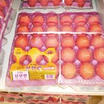 <b>개청</b>30주년