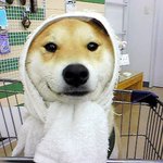 <b>목욕</b>준비 다 했어요~
