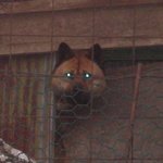 뭘봐