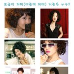 뽀글이 파마 <b>지존</b>은 누구?