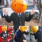 귤소녀에 <b>이은</b> 귤소년 등장