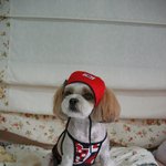오~<b>필승</b>코리아