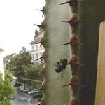 과속 <b>질주</b>의 최후!!