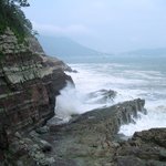 <b>송도</b> 혈청소