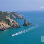 2월 <b>달력</b> - 05