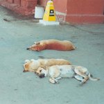 <b>만사</b>가 다 귀찮아