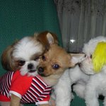 봄. 여름. 가을이<b>의</b> 정겨운 한 <b>때</b>