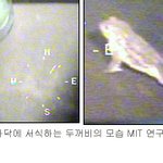 네스호 100m <b>바닥</b>에서 두꺼비