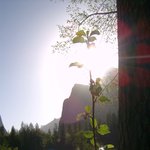 yosemite national <b>park</b> - usa