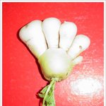 무우일까요?<b>발가락</b>일까요?