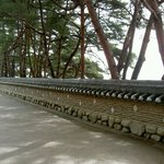 <b>이쯤</b>되야 올리는 것이..