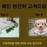 황당 <b>허접</b> 광고