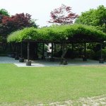 천연기념물 254호 - <b>삼청동</b> 등나무