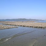 <b>태안</b>-